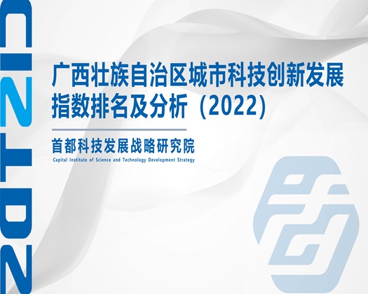 大长屌尻屄视频网站【成果发布】广西壮族自治区城市科技创新发展指数排名及分析（2022）